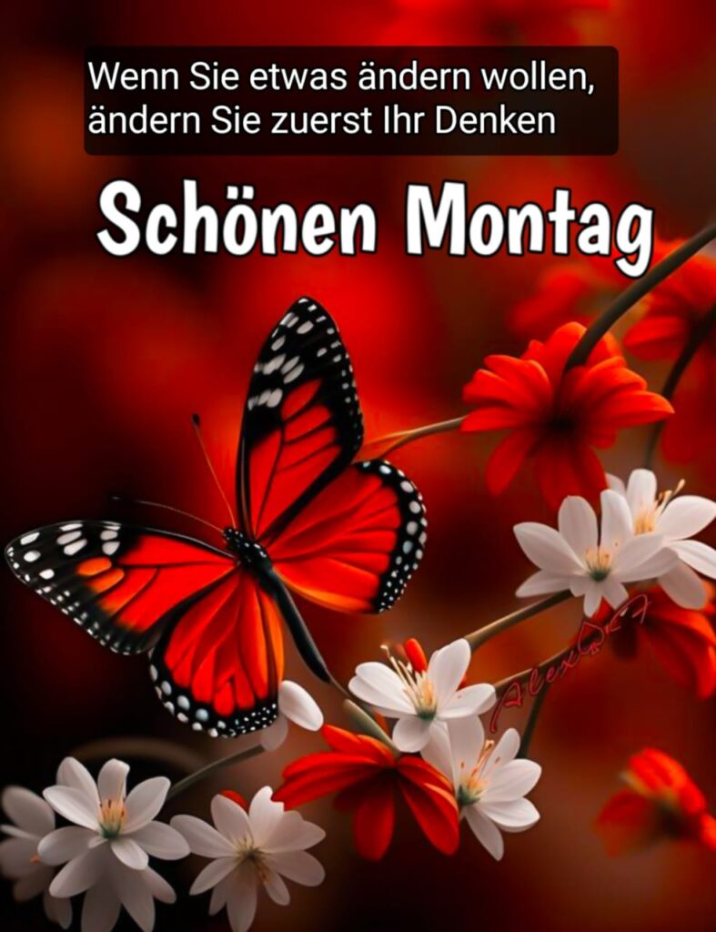 guten morgen schönen montag bilder kostenlos