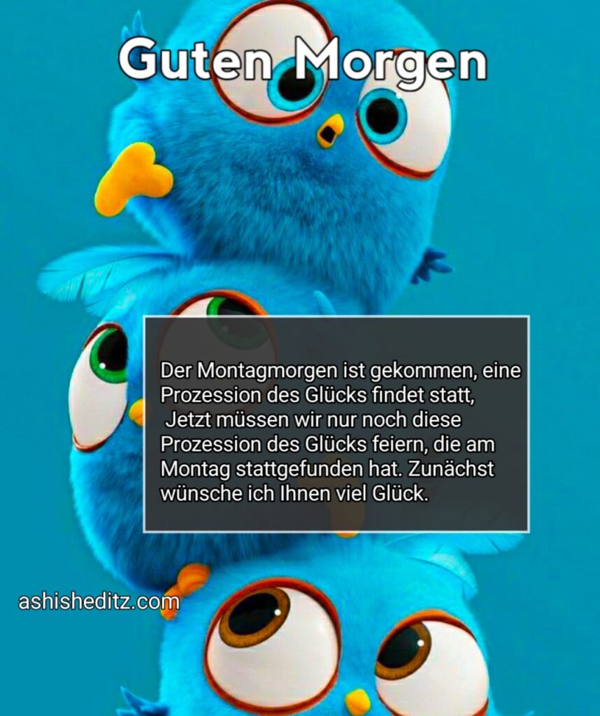 kostenlose bilder montag lustig