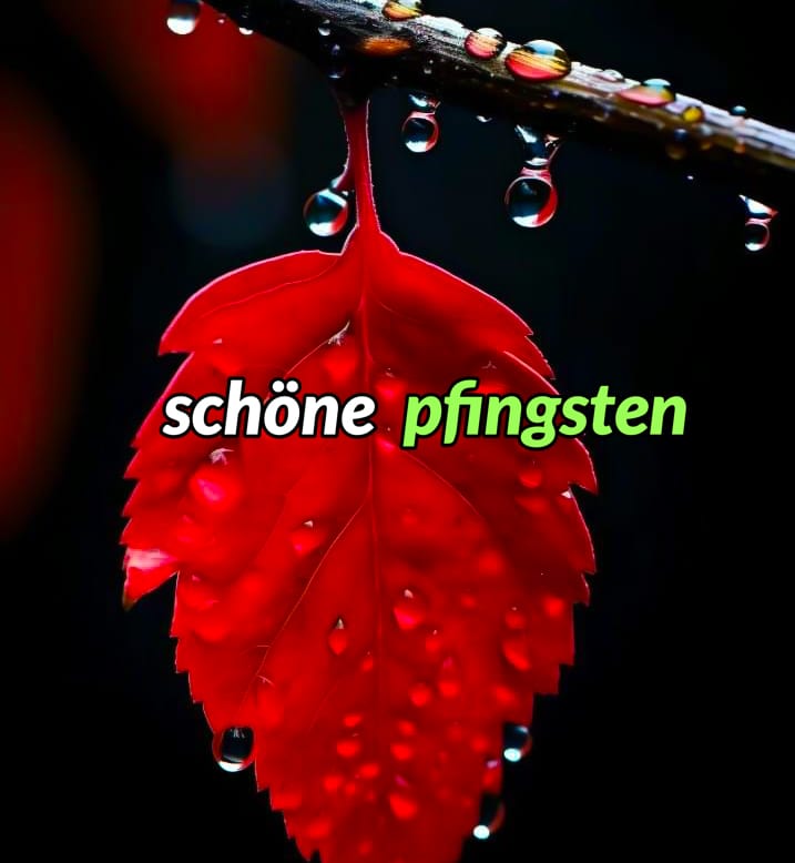 schöne pfingsten bilder lustig hd