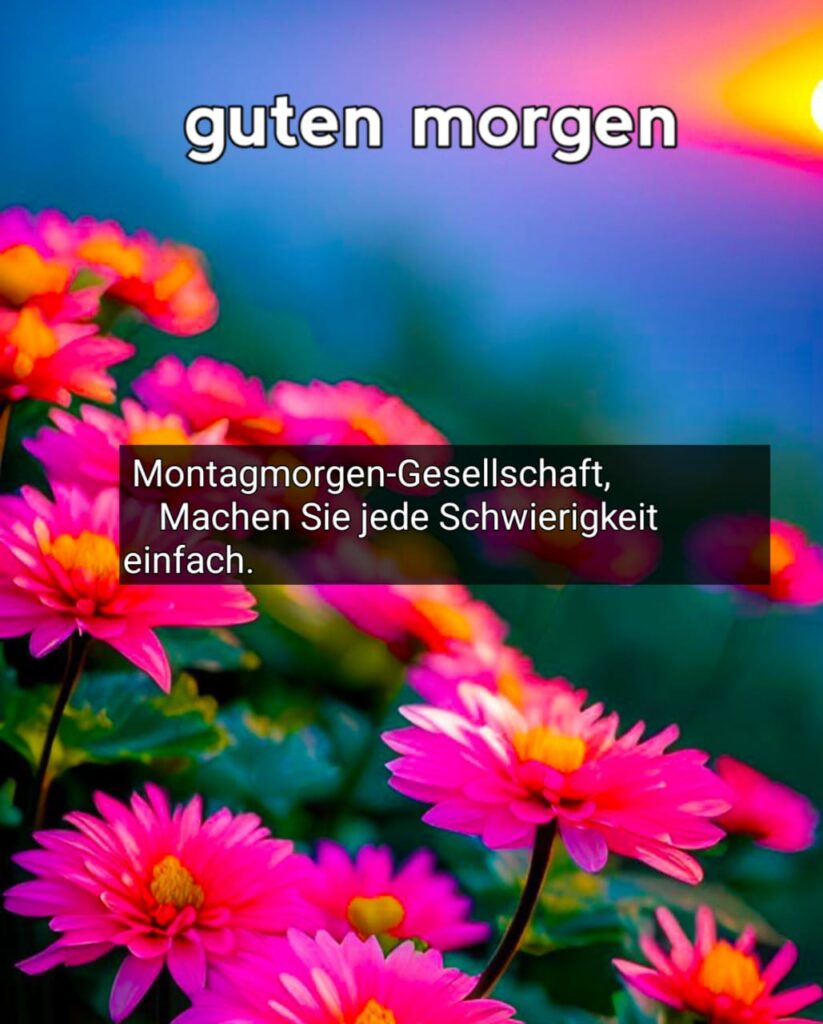 lustige guten morgen montag bilder kostenlos hd