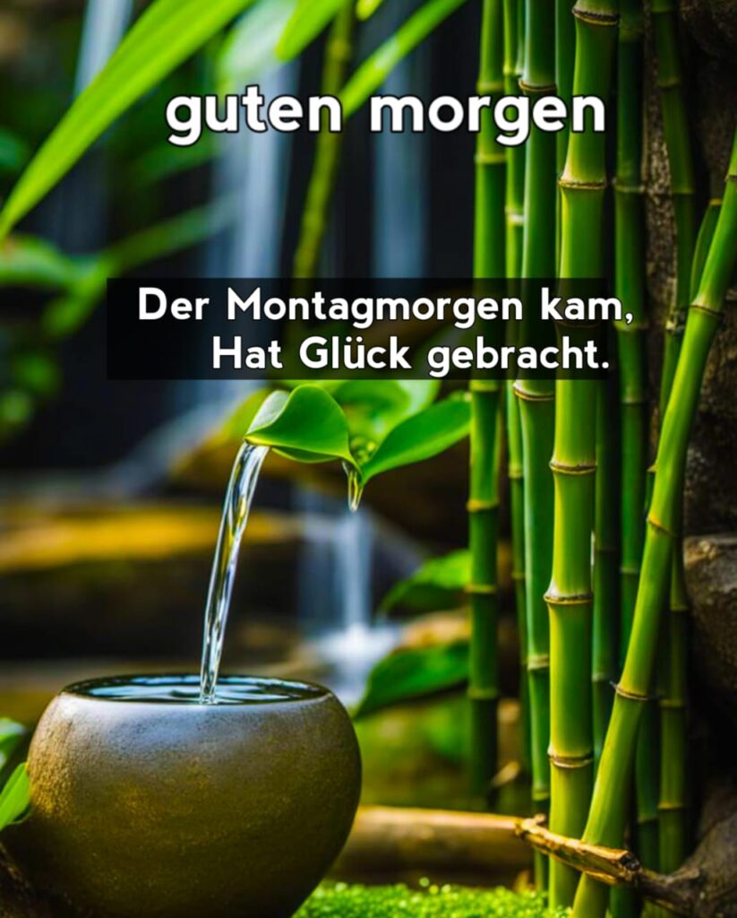 montag bilder lustig gif