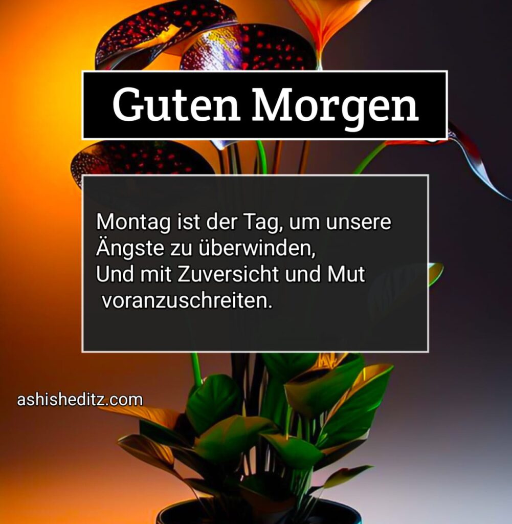 montag guten morgen bilder lustig HD