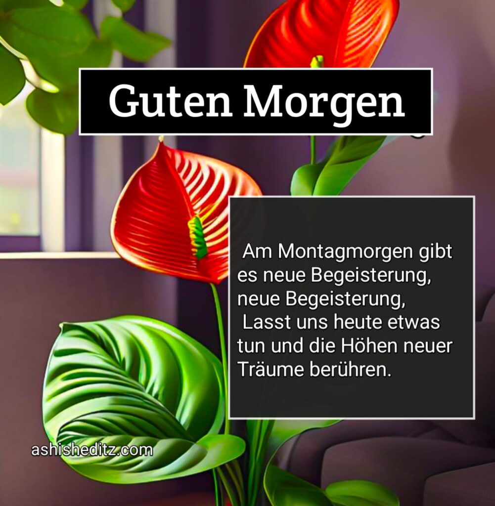 montag guten morgen bilder neu