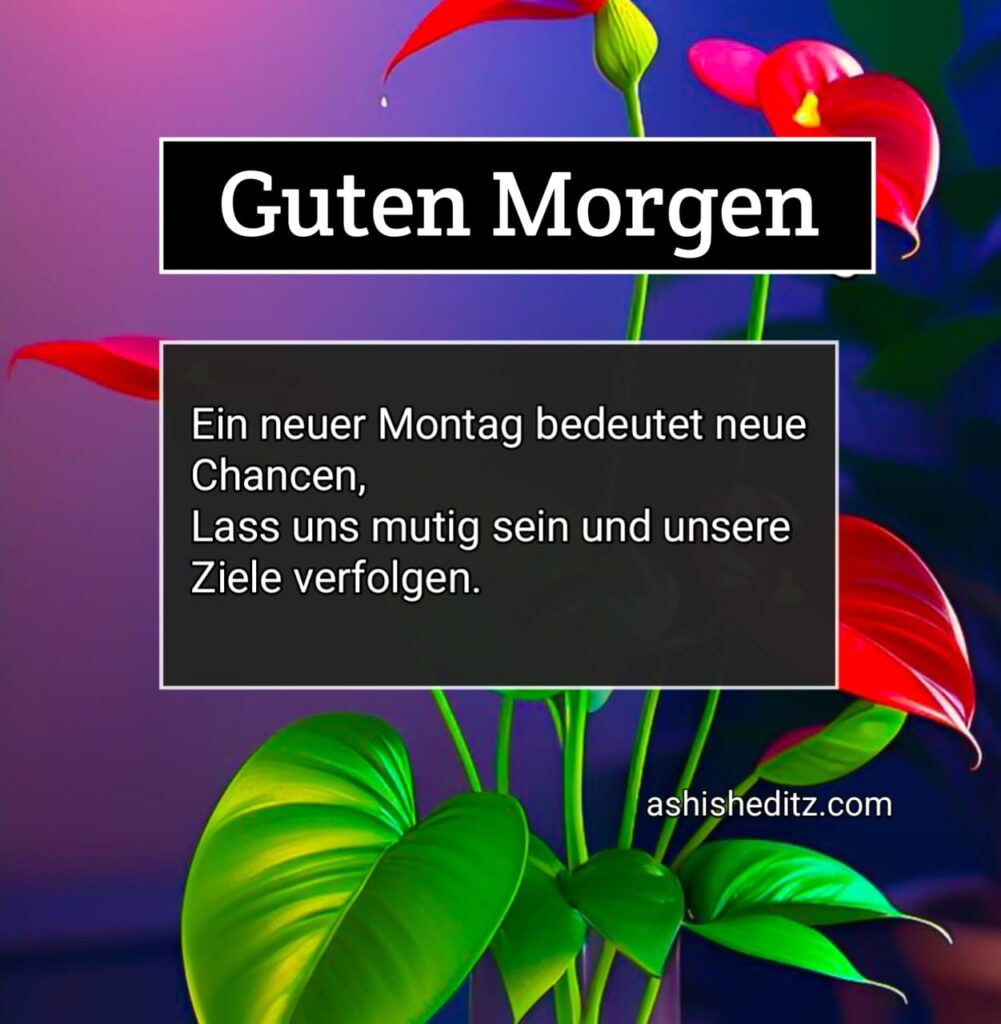 montag guten morgen grüße