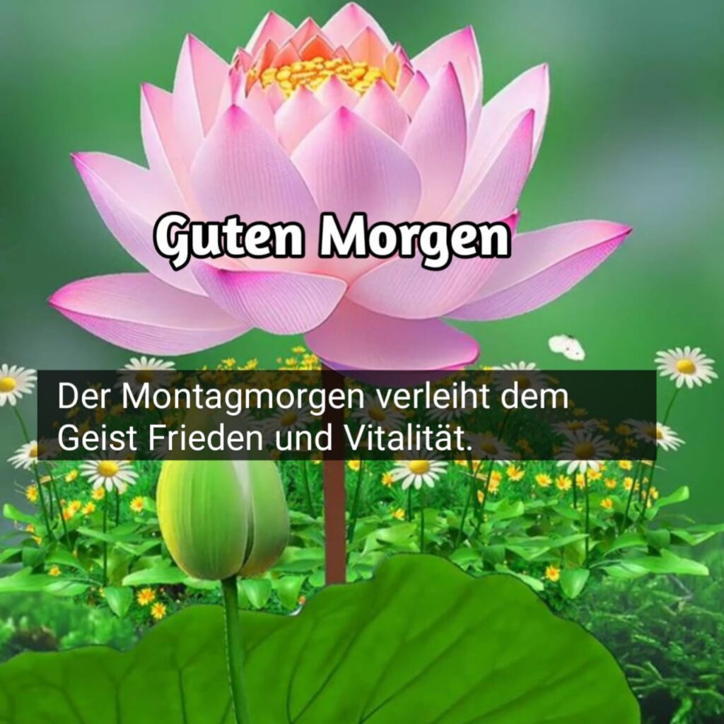 montag wochenstart gif