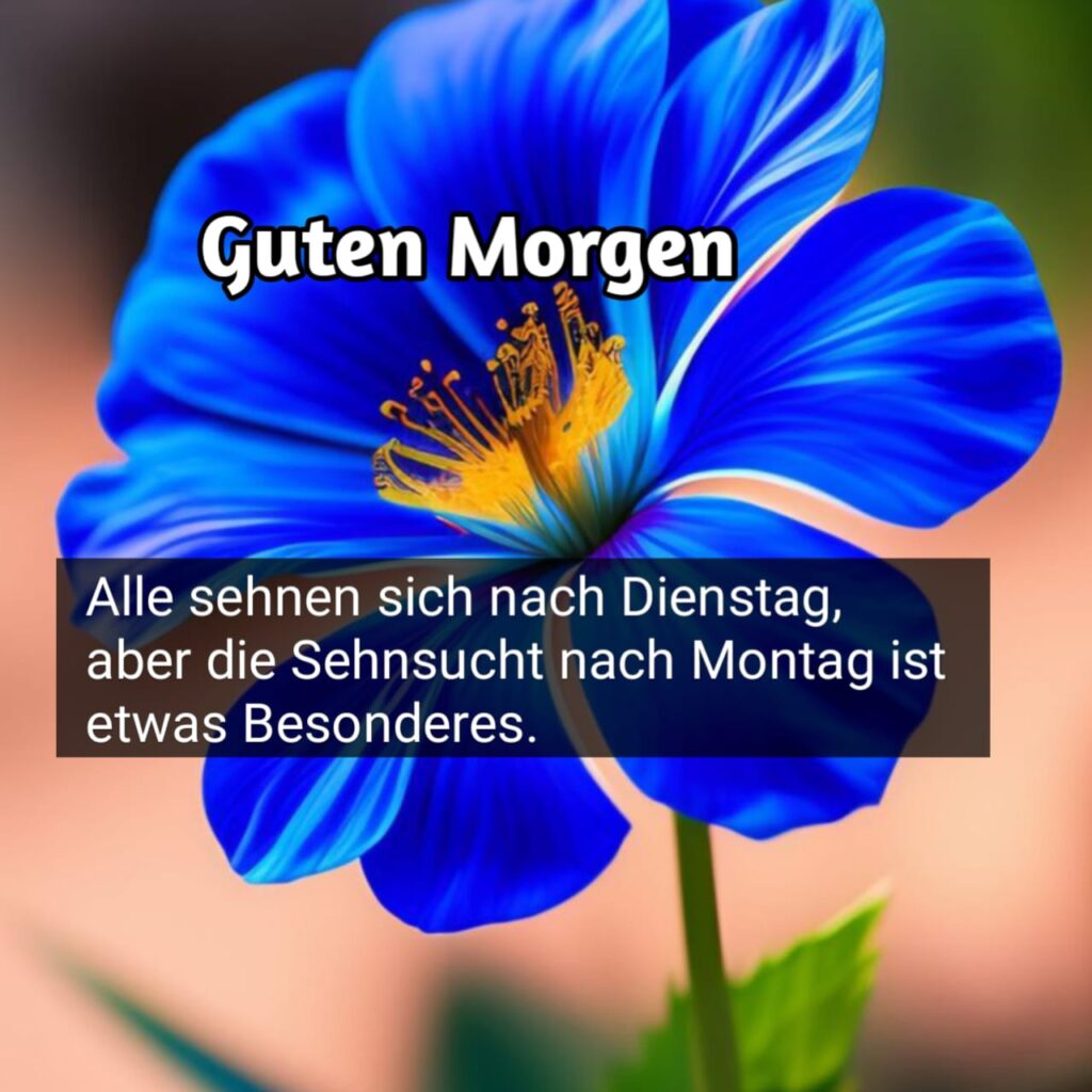 montag wochenstart lustig