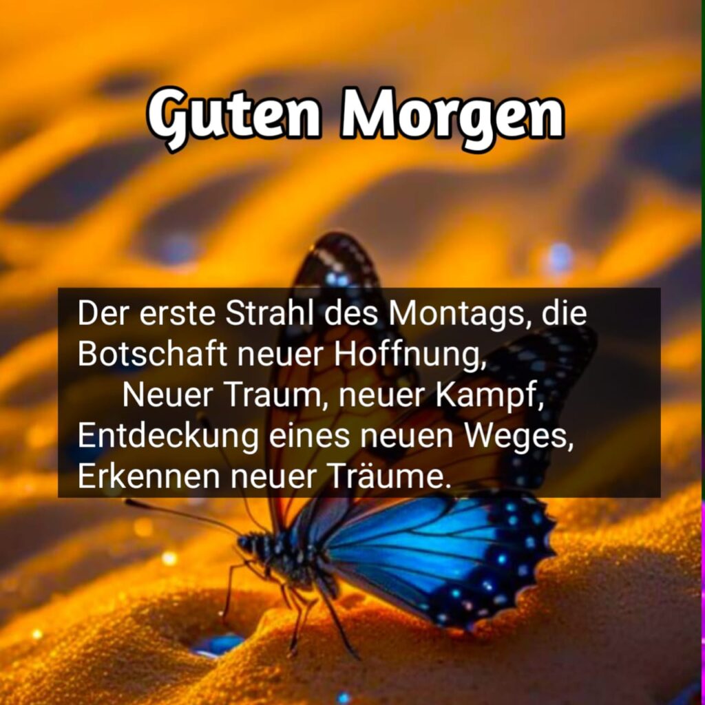 montag wochenstart neu