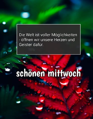 morgen schönen mittwoch bilder kostenlos