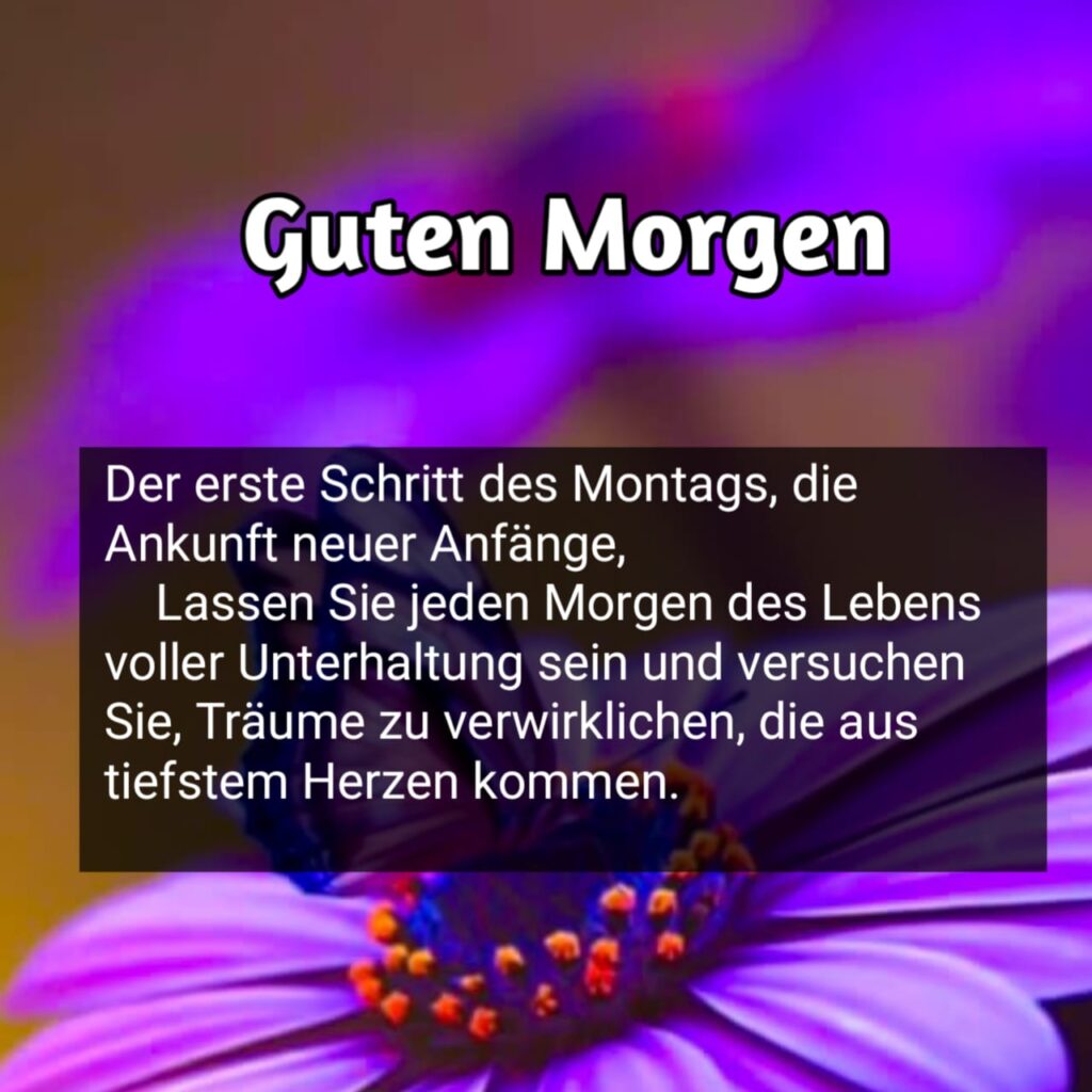 morgen sprüche montag wochenstart herbst