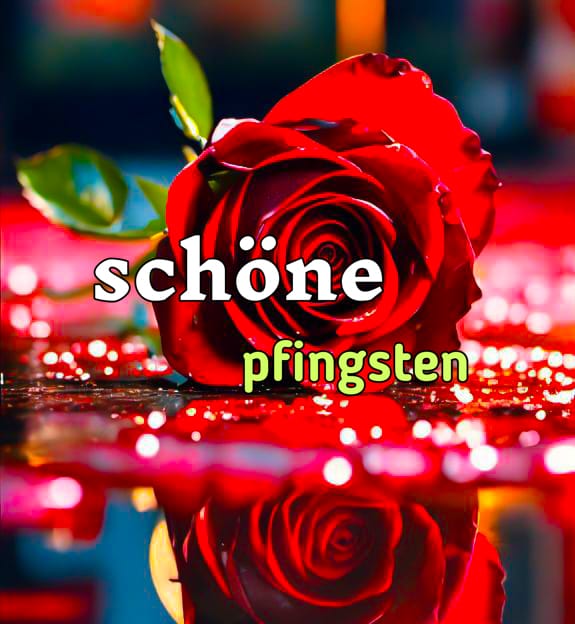 schöne pfingsten wünsche ich euch