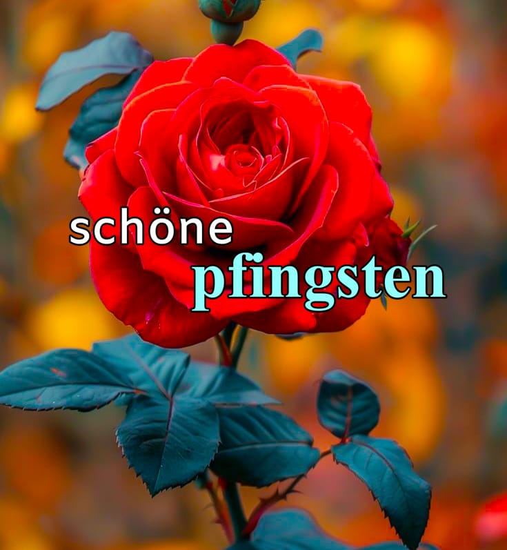 schöne pfingsten wünschen hd