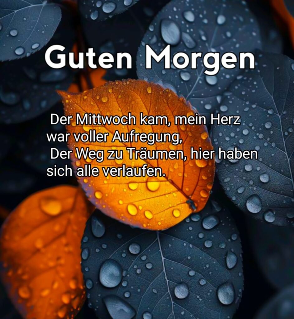 schönen guten morgen mittwoch gif