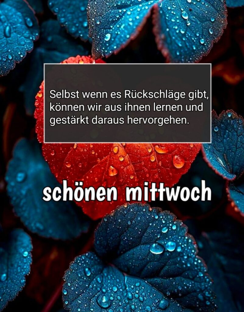 schönen mittwoch bilder kalt