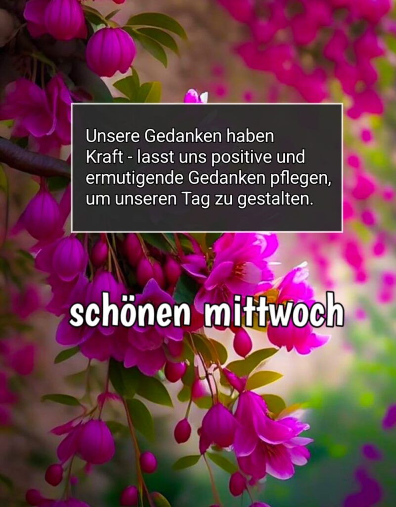 schönen mittwoch bilder mittwoch funpot guten morgen