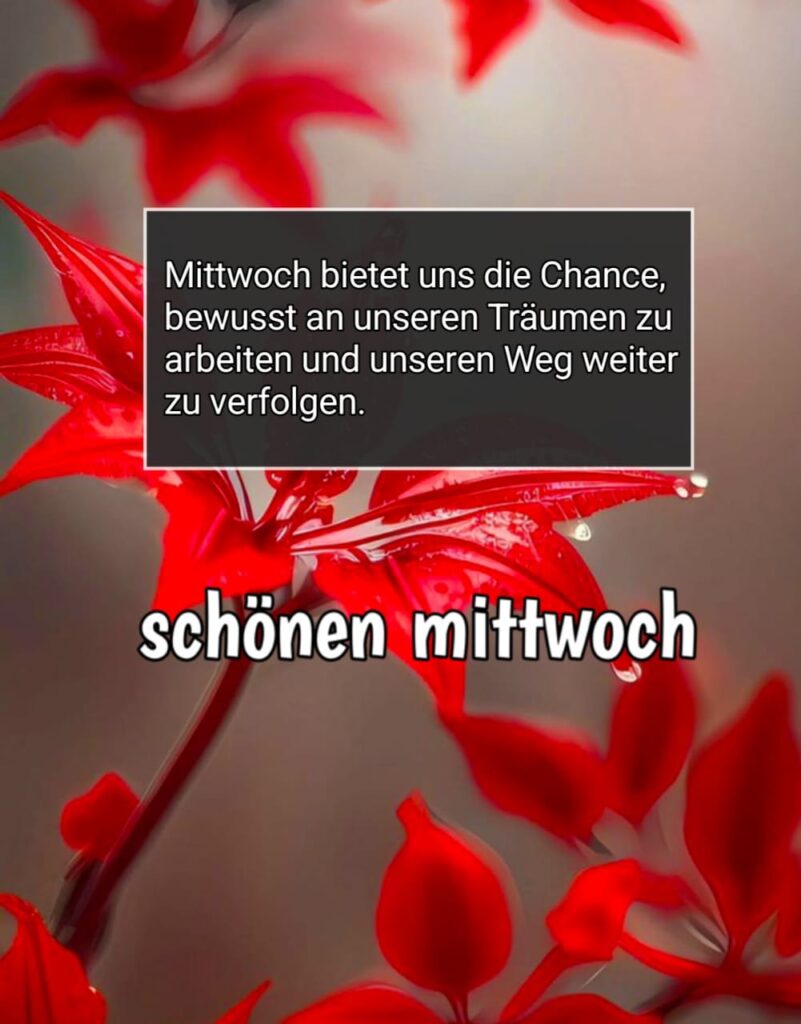 schönen mittwoch bilder winterlich