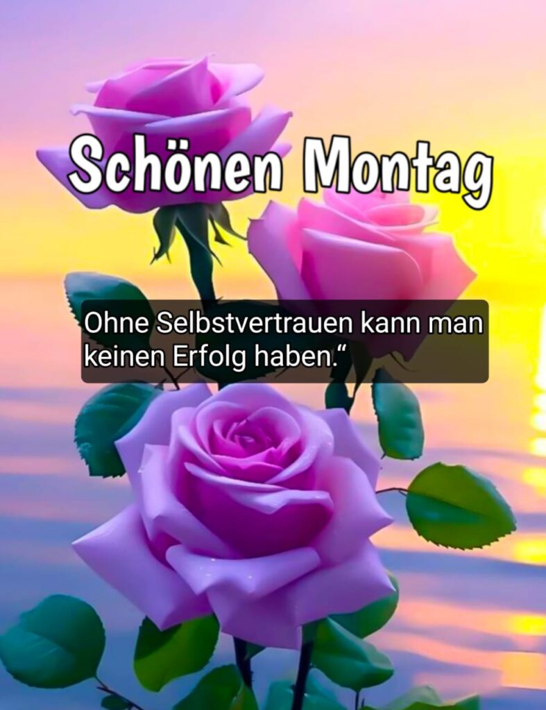 schönen montag bilder