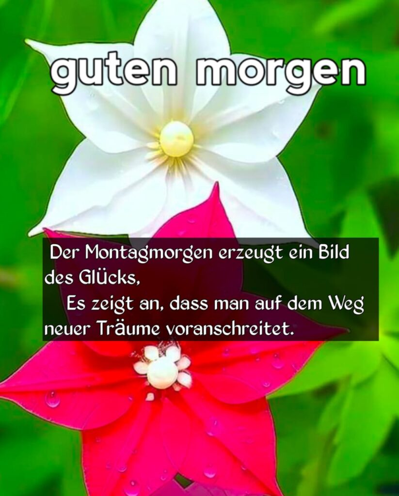 schönen montag bilder lustig kostenlos hd new