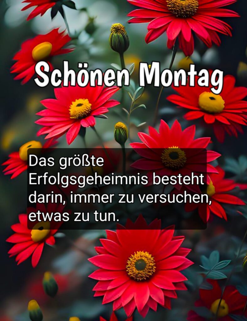 schönen montag bilder wochenanfang wochenstart witzig