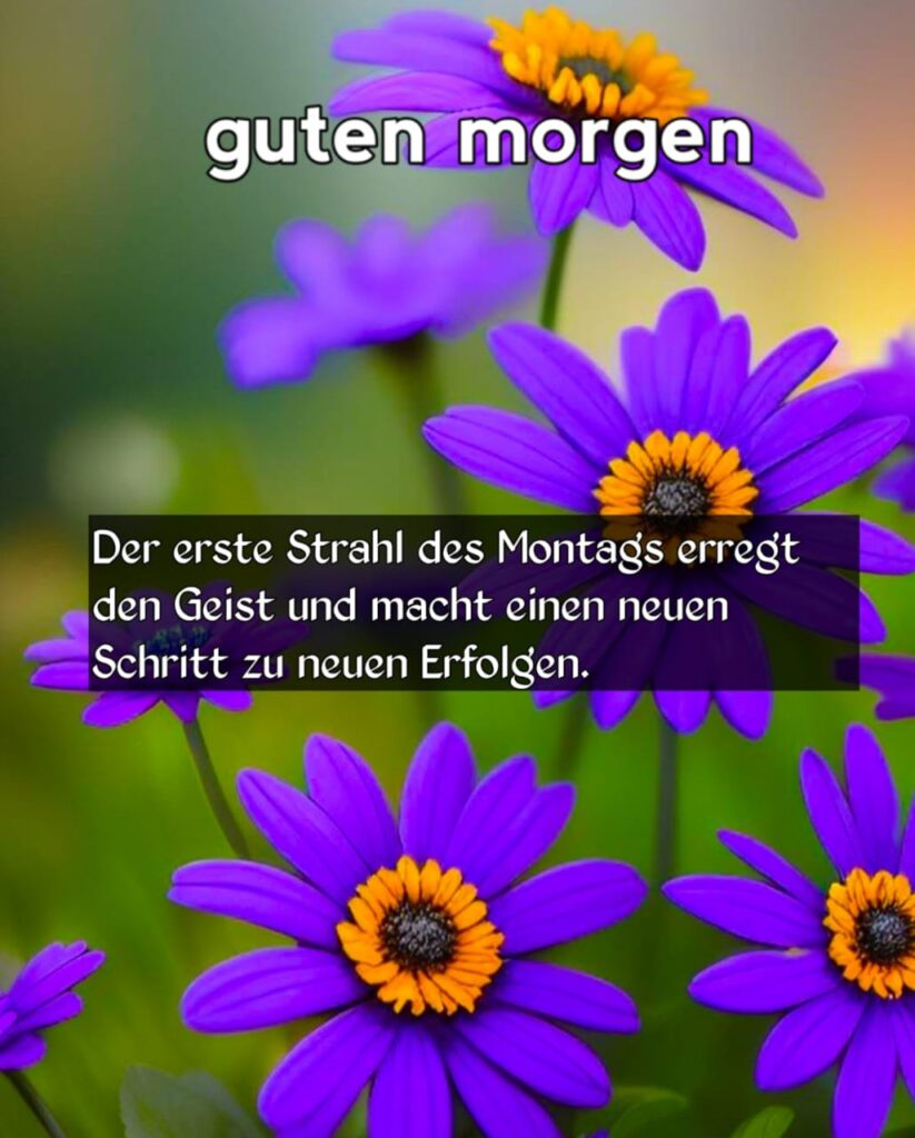 super montag bilder