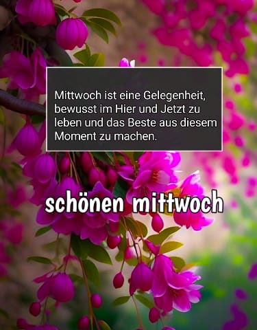 wochenteiler schönen mittwoch bilder kostenlos