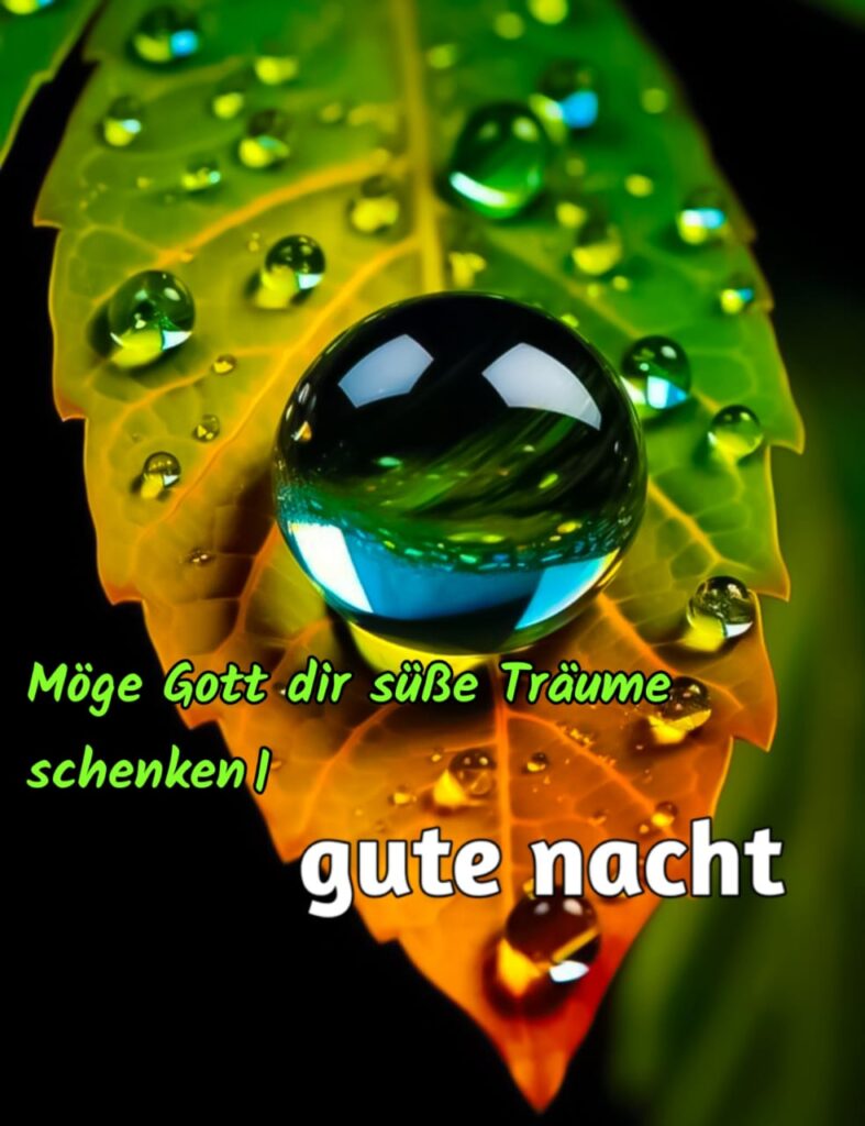 wunderschöne gute nacht grüße new