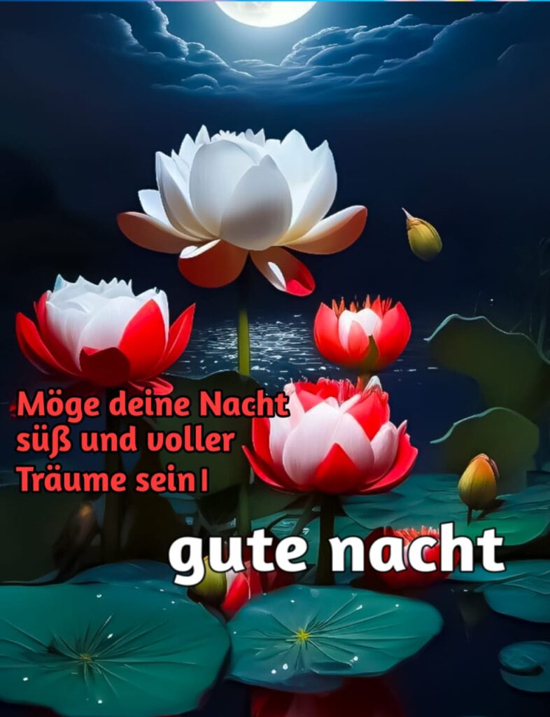 wünsche dir eine wunderschöne gute nacht