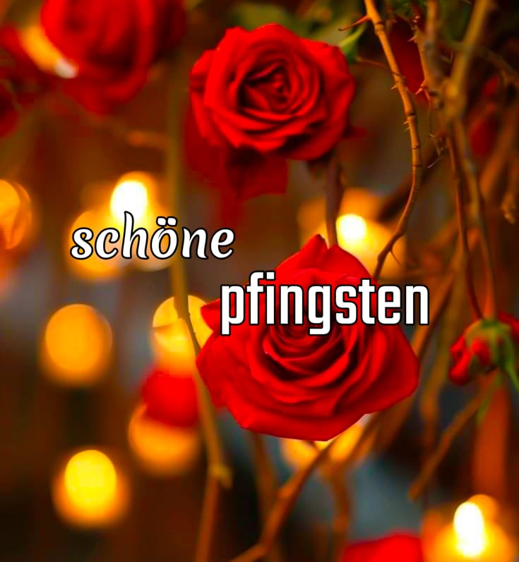 wünsche dir schöne pfingsten bilder