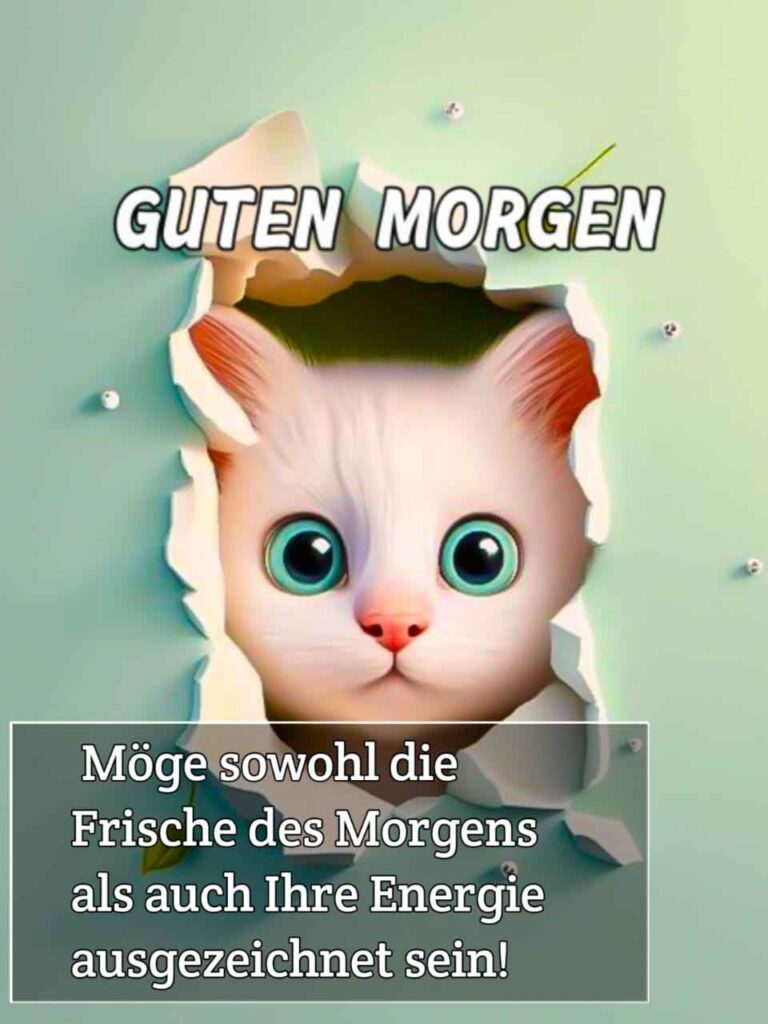 gute morgen gif lustig