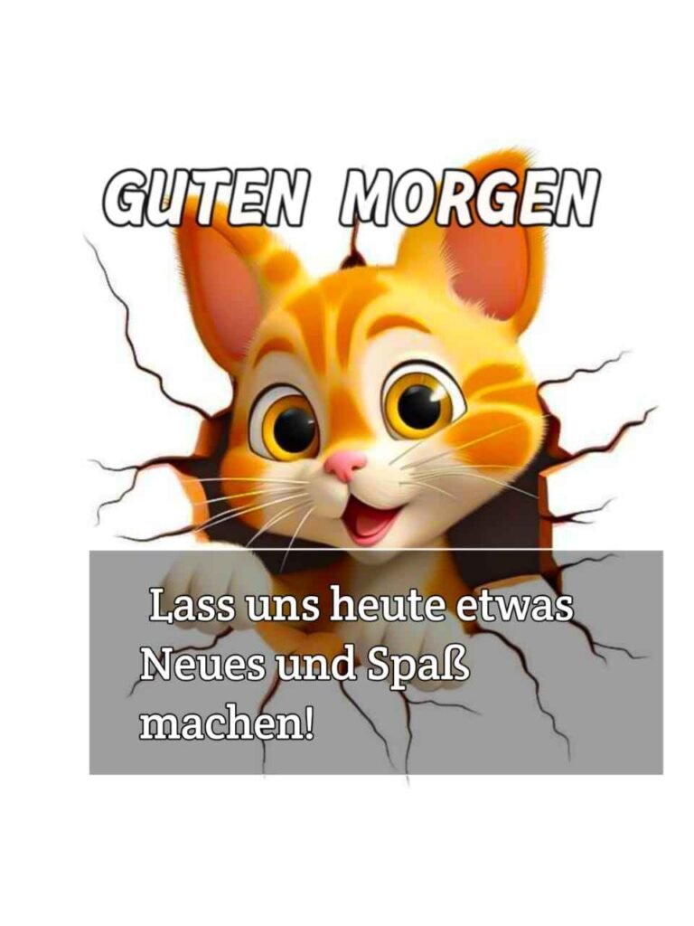 lustige bilder zu guten morgen