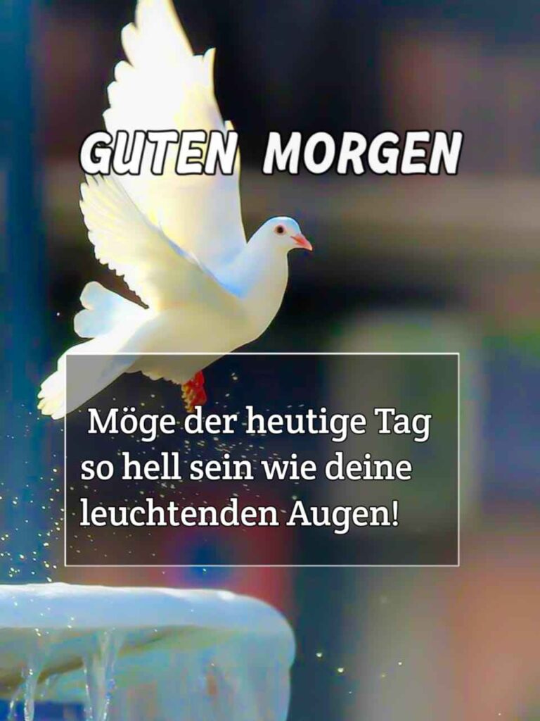 new lustige guten morgen bilder für whatsapp 