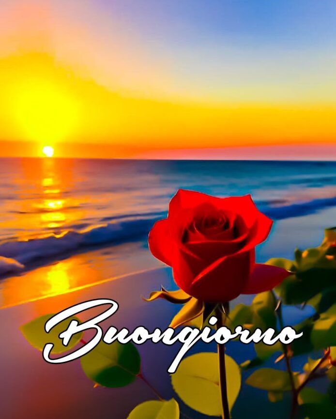 C'è Good Morning Pictures con rose rosse e tramonto