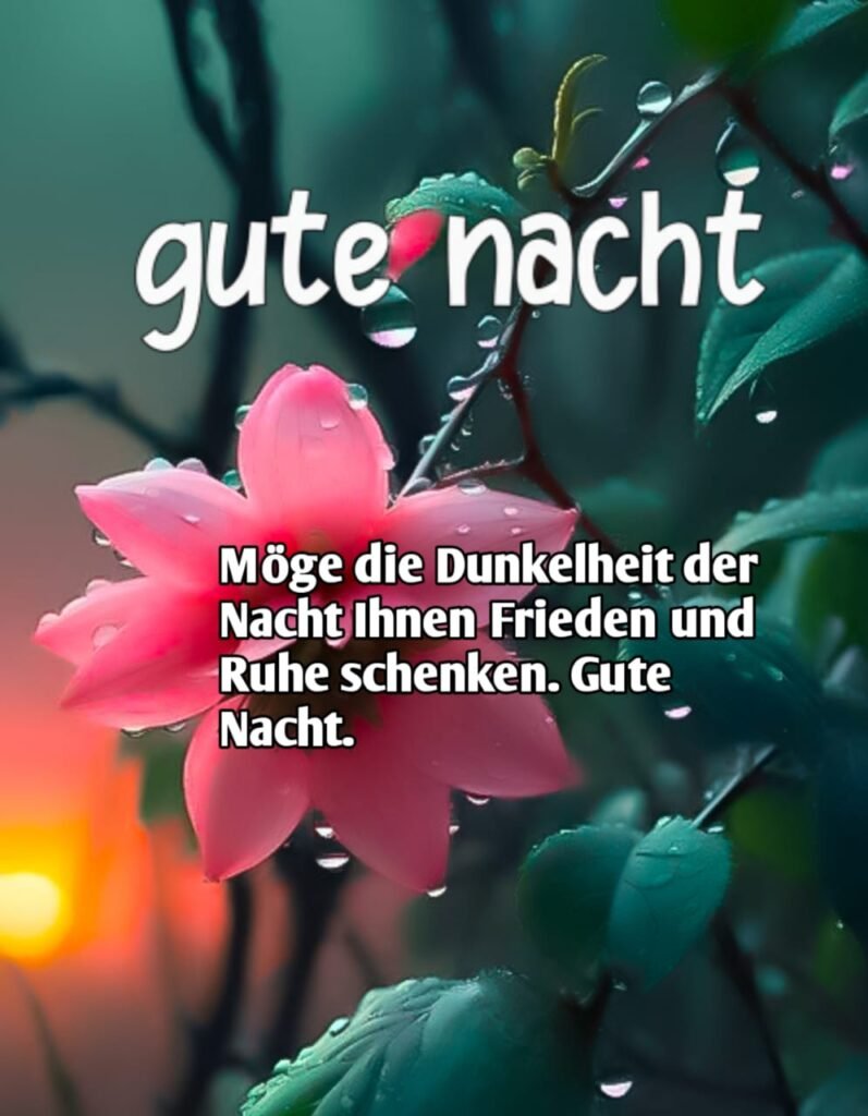 Bäume blühen mit Pflanzen und Blumen und wünschen eine glückliche Nacht