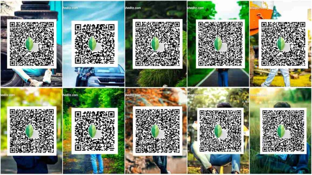 Snapseed QR codes 2025