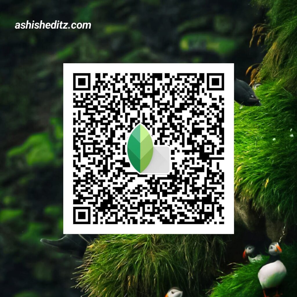 Snapseed QR codes 4k 2024