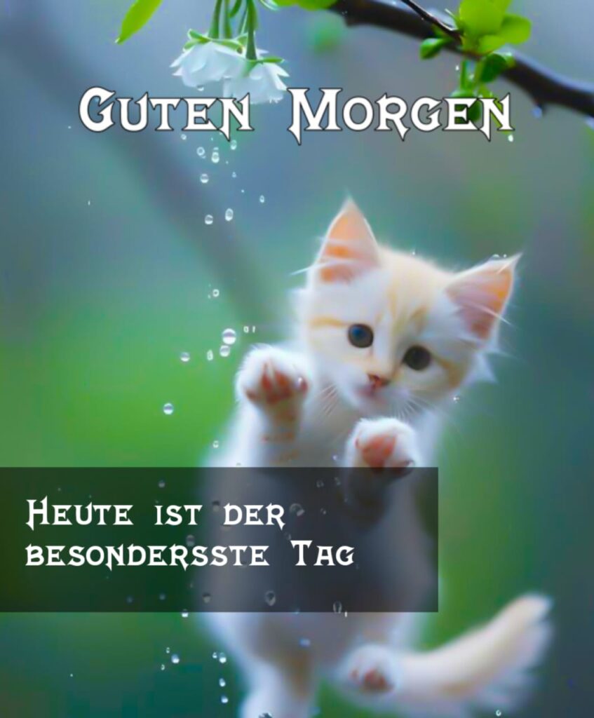 guten morgen grüße gif bilder​