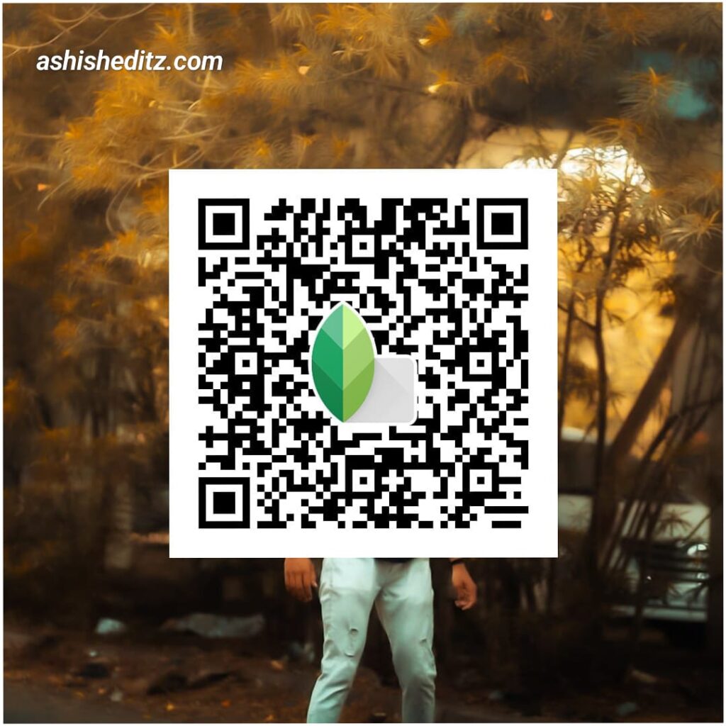 snapseed qr codes face white