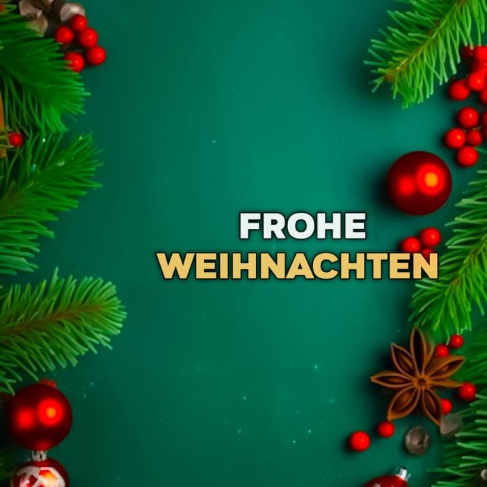 frohe weihnachten und ein gutes neues jahr witzig​