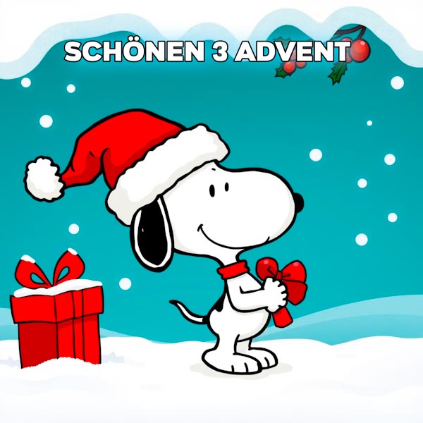 snoopy 3 advent bilder-1722