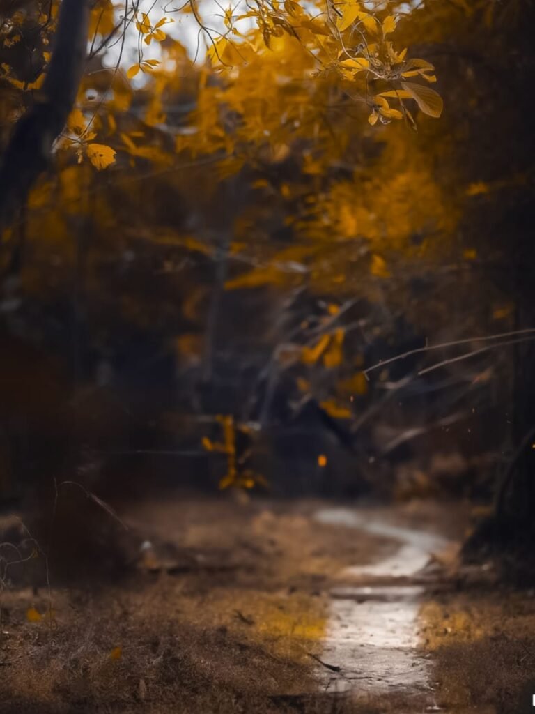 Editing photos for boy Background​ 1