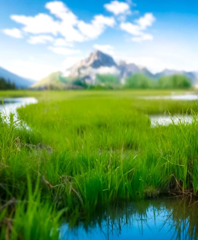 Editing photos for boy Background​ 10
