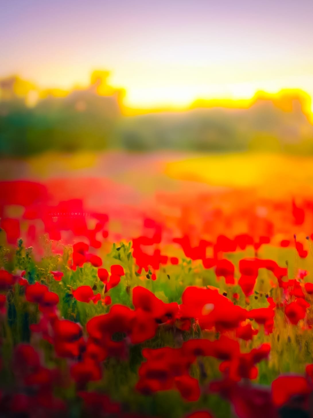 350+ Full HD Photo Editing Background & Pictures